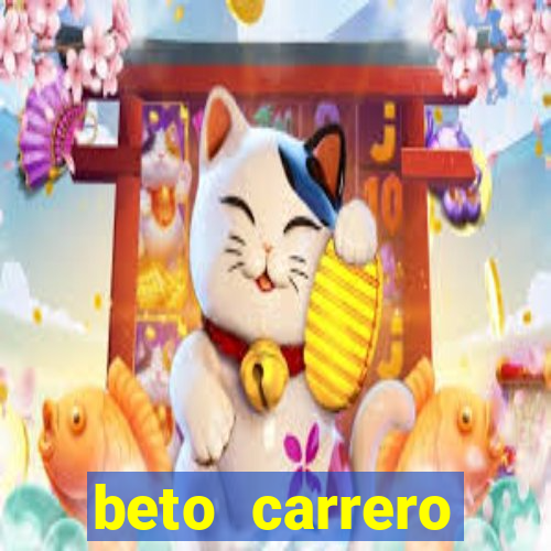 beto carrero cidades proximas